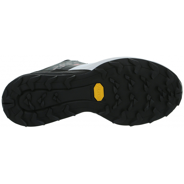 Alpine DNA W