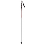 Amphibio Green - Red