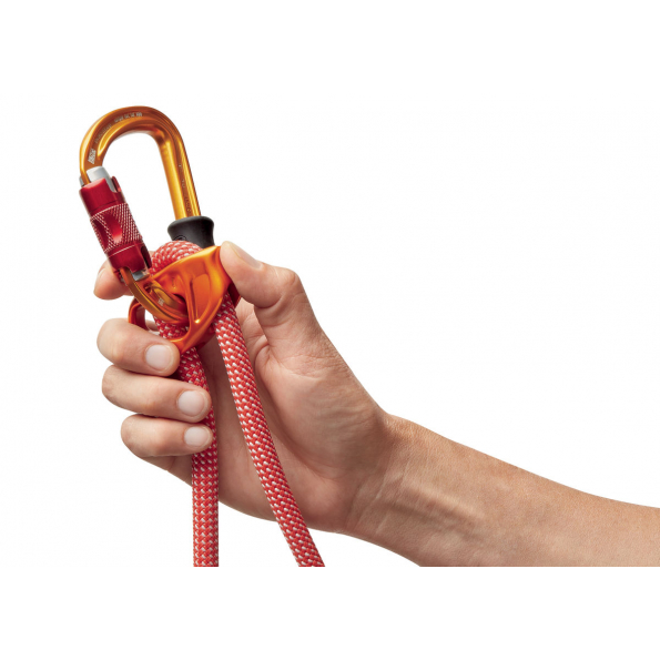 DUAL CONNECT VARIO