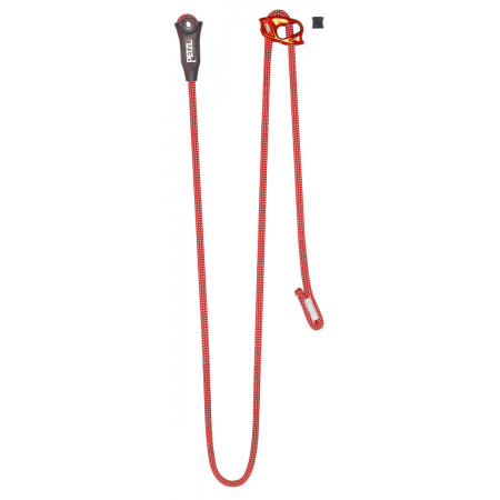 DUAL CONNECT VARIO