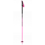 Tour Pole