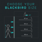 BLACKBIRD Ice Axe
