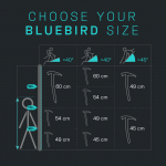 BLUEBIRD Ice Axe