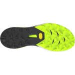 Alpine DNA 2 Running Shoes Unisex