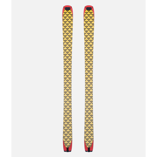 Camox Freebird + Pilus Camox Freebird Touring Skins